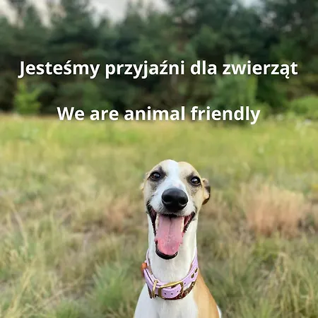 Prohibicja * Гданьск